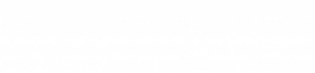 logo dr. iran sanches branco